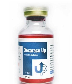 Dexarace UP Injectable Solution