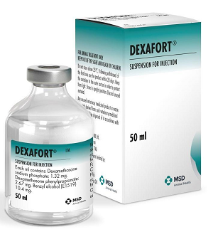 Dexafort Injection 50ml