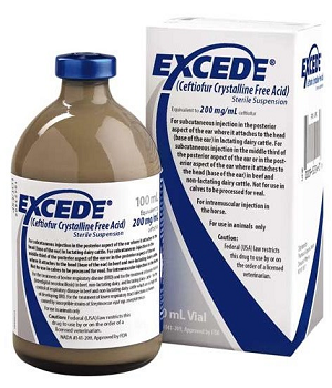 Excede 100ml Injection