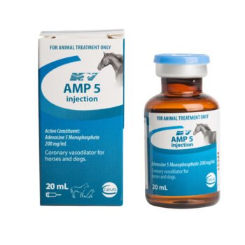 AMP 5 Injection