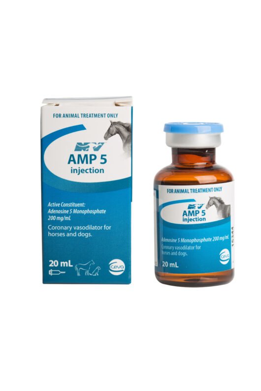AMP 5 Injection