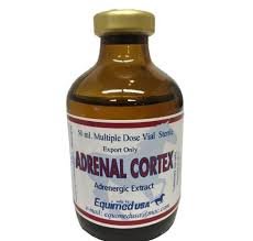 Adrenal Cortex Plus Injection