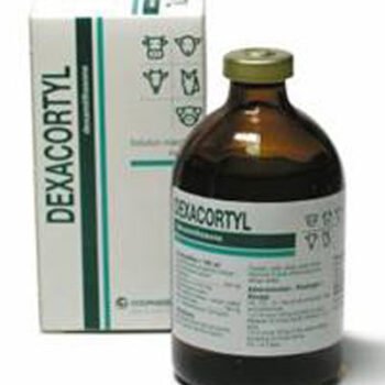 Dexacortyl 100ml Injection