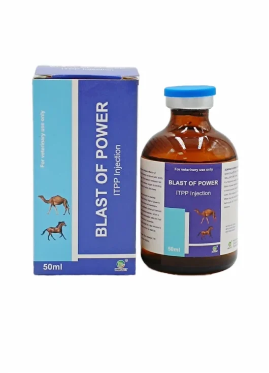 ITPP Injection for horses