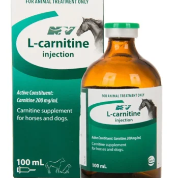 L-carnitine Injection 500mg