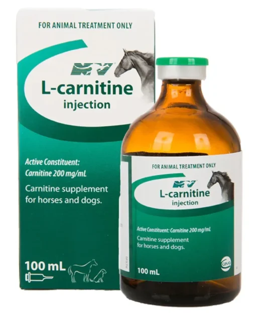 L-carnitine Injection 500mg